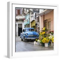 Cuba Fuerte Collection SQ - Sunflowers-Philippe Hugonnard-Framed Photographic Print