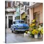 Cuba Fuerte Collection SQ - Sunflowers-Philippe Hugonnard-Stretched Canvas