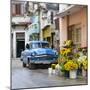 Cuba Fuerte Collection SQ - Sunflowers-Philippe Hugonnard-Mounted Photographic Print