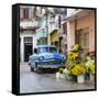 Cuba Fuerte Collection SQ - Sunflowers-Philippe Hugonnard-Framed Stretched Canvas