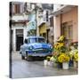 Cuba Fuerte Collection SQ - Sunflowers-Philippe Hugonnard-Stretched Canvas