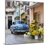 Cuba Fuerte Collection SQ - Sunflowers-Philippe Hugonnard-Mounted Photographic Print