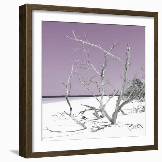 Cuba Fuerte Collection SQ - Tropical Beach Nature - Pastel Plum-Philippe Hugonnard-Framed Photographic Print