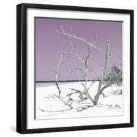 Cuba Fuerte Collection SQ - Tropical Beach Nature - Pastel Plum-Philippe Hugonnard-Framed Photographic Print