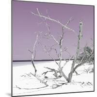 Cuba Fuerte Collection SQ - Tropical Beach Nature - Pastel Plum-Philippe Hugonnard-Mounted Photographic Print