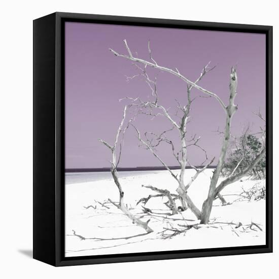 Cuba Fuerte Collection SQ - Tropical Beach Nature - Pastel Plum-Philippe Hugonnard-Framed Stretched Canvas