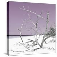 Cuba Fuerte Collection SQ - Tropical Beach Nature - Pastel Plum-Philippe Hugonnard-Stretched Canvas