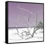 Cuba Fuerte Collection SQ - Tropical Beach Nature - Pastel Plum-Philippe Hugonnard-Framed Stretched Canvas