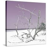 Cuba Fuerte Collection SQ - Tropical Beach Nature - Pastel Plum-Philippe Hugonnard-Stretched Canvas