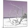 Cuba Fuerte Collection SQ - Tropical Beach Nature - Pastel Plum-Philippe Hugonnard-Mounted Photographic Print