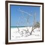 Cuba Fuerte Collection SQ - Tropical Beach Nature-Philippe Hugonnard-Framed Photographic Print