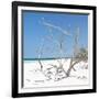 Cuba Fuerte Collection SQ - Tropical Beach Nature-Philippe Hugonnard-Framed Photographic Print