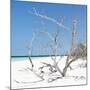 Cuba Fuerte Collection SQ - Tropical Beach Nature-Philippe Hugonnard-Mounted Photographic Print