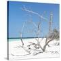 Cuba Fuerte Collection SQ - Tropical Beach Nature-Philippe Hugonnard-Stretched Canvas