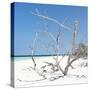 Cuba Fuerte Collection SQ - Tropical Beach Nature-Philippe Hugonnard-Stretched Canvas