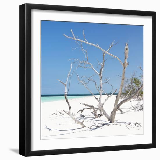 Cuba Fuerte Collection SQ - Tropical Beach Nature-Philippe Hugonnard-Framed Photographic Print