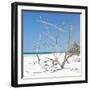 Cuba Fuerte Collection SQ - Tropical Beach Nature-Philippe Hugonnard-Framed Photographic Print