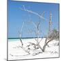 Cuba Fuerte Collection SQ - Tropical Beach Nature-Philippe Hugonnard-Mounted Photographic Print