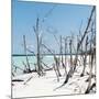 Cuba Fuerte Collection SQ - Tropical Wild Beach-Philippe Hugonnard-Mounted Photographic Print