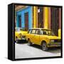 Cuba Fuerte Collection SQ - Two Yellow Cars in Havana-Philippe Hugonnard-Framed Stretched Canvas