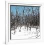 Cuba Fuerte Collection SQ - White Forest II-Philippe Hugonnard-Framed Premium Photographic Print