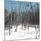 Cuba Fuerte Collection SQ - White Forest II-Philippe Hugonnard-Mounted Premium Photographic Print