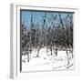 Cuba Fuerte Collection SQ - White Forest II-Philippe Hugonnard-Framed Photographic Print