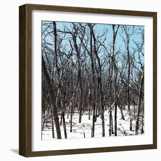 Cuba Fuerte Collection SQ - White Forest III-Philippe Hugonnard-Framed Photographic Print