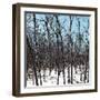 Cuba Fuerte Collection SQ - White Forest III-Philippe Hugonnard-Framed Photographic Print