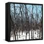 Cuba Fuerte Collection SQ - White Forest III-Philippe Hugonnard-Framed Stretched Canvas