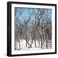 Cuba Fuerte Collection SQ - White Forest-Philippe Hugonnard-Framed Photographic Print