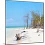 Cuba Fuerte Collection SQ - White Sand Beach-Philippe Hugonnard-Mounted Photographic Print