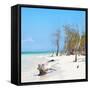 Cuba Fuerte Collection SQ - White Sand Beach-Philippe Hugonnard-Framed Stretched Canvas