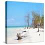 Cuba Fuerte Collection SQ - White Sand Beach-Philippe Hugonnard-Stretched Canvas