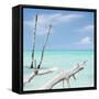 Cuba Fuerte Collection SQ - White Trees II-Philippe Hugonnard-Framed Stretched Canvas