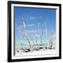 Cuba Fuerte Collection SQ - White water Tree Forest-Philippe Hugonnard-Framed Photographic Print