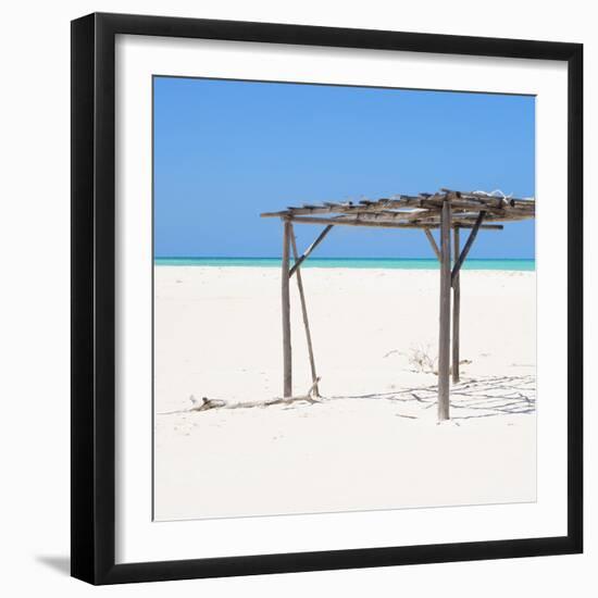 Cuba Fuerte Collection SQ - Wild Arbor-Philippe Hugonnard-Framed Photographic Print