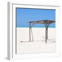 Cuba Fuerte Collection SQ - Wild Arbor-Philippe Hugonnard-Framed Photographic Print