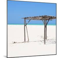 Cuba Fuerte Collection SQ - Wild Arbor-Philippe Hugonnard-Mounted Photographic Print