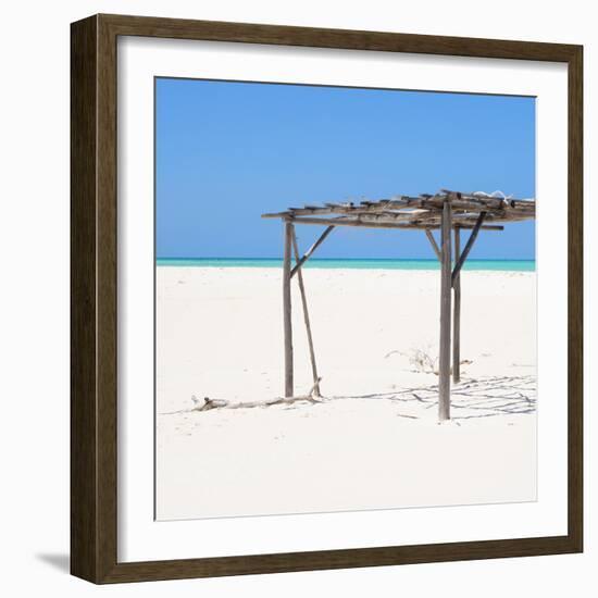 Cuba Fuerte Collection SQ - Wild Arbor-Philippe Hugonnard-Framed Photographic Print