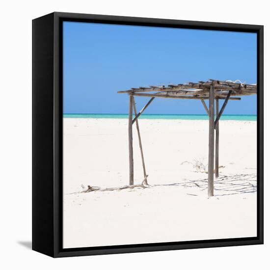 Cuba Fuerte Collection SQ - Wild Arbor-Philippe Hugonnard-Framed Stretched Canvas