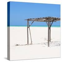 Cuba Fuerte Collection SQ - Wild Arbor-Philippe Hugonnard-Stretched Canvas