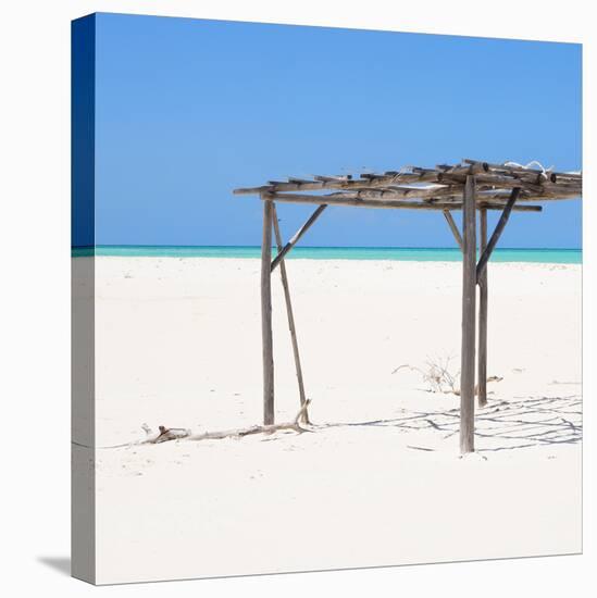 Cuba Fuerte Collection SQ - Wild Arbor-Philippe Hugonnard-Stretched Canvas