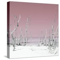 Cuba Fuerte Collection SQ - Wild Beach - Pastel Red-Philippe Hugonnard-Stretched Canvas