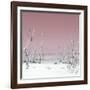 Cuba Fuerte Collection SQ - Wild Beach - Pastel Red-Philippe Hugonnard-Framed Photographic Print