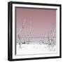 Cuba Fuerte Collection SQ - Wild Beach - Pastel Red-Philippe Hugonnard-Framed Photographic Print