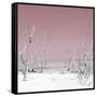 Cuba Fuerte Collection SQ - Wild Beach - Pastel Red-Philippe Hugonnard-Framed Stretched Canvas
