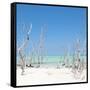 Cuba Fuerte Collection SQ - Wild Beach-Philippe Hugonnard-Framed Stretched Canvas