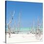 Cuba Fuerte Collection SQ - Wild Beach-Philippe Hugonnard-Stretched Canvas