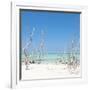 Cuba Fuerte Collection SQ - Wild Beach-Philippe Hugonnard-Framed Photographic Print